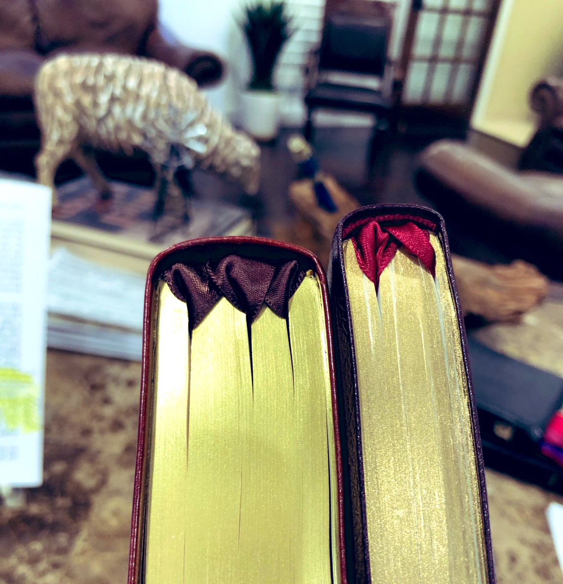 lcgorestudio tweet media