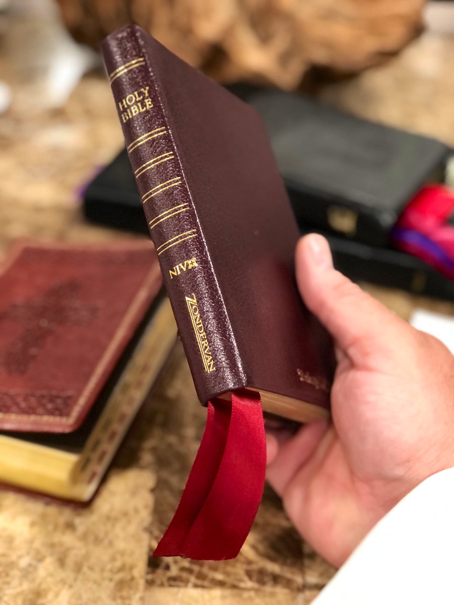 lcgorestudio tweet media