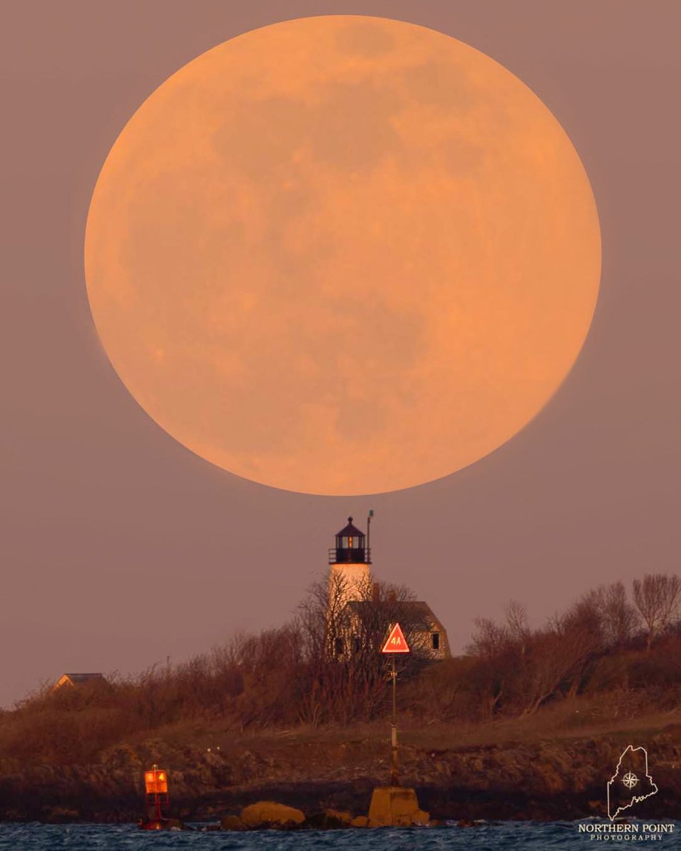 "The pink moon put on quite a show last night! As the moon rose, it enveloped [Wood Island Lighthouse] beautifully as it rose from the horizon."

📷 Allie, Northern Point Photography

Upload your #Maine photos. ➡️ downeast.com/image-submissi…