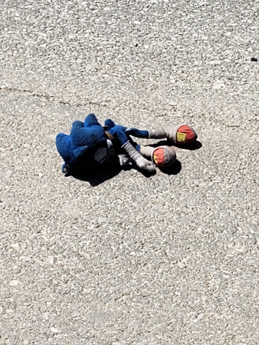 AdamWennick's tweet photo. I think he went too fast.
#Sonic #SonicTheHedgehog https://t.co/K364tPZbiH