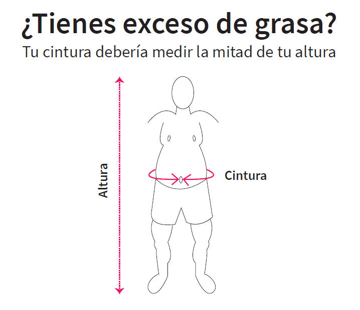 antumlife's tweet image. E incluso un pelín menos. 😉
[Gráfico sacado del libro El Método MAF... pronto en vuestros lectores de libros electrónicos. 😋]

#MAF #TheMAFMethod #FatforFuel #AerobicTraining #180Formula #DrPhilMaffetone