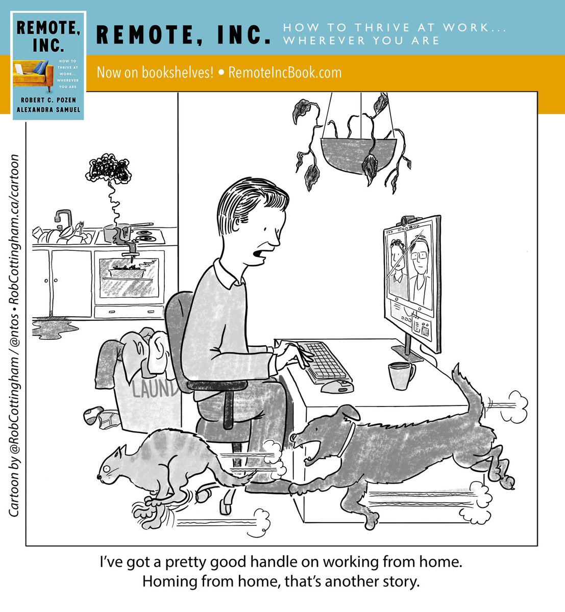 Noise to Signal tweet media