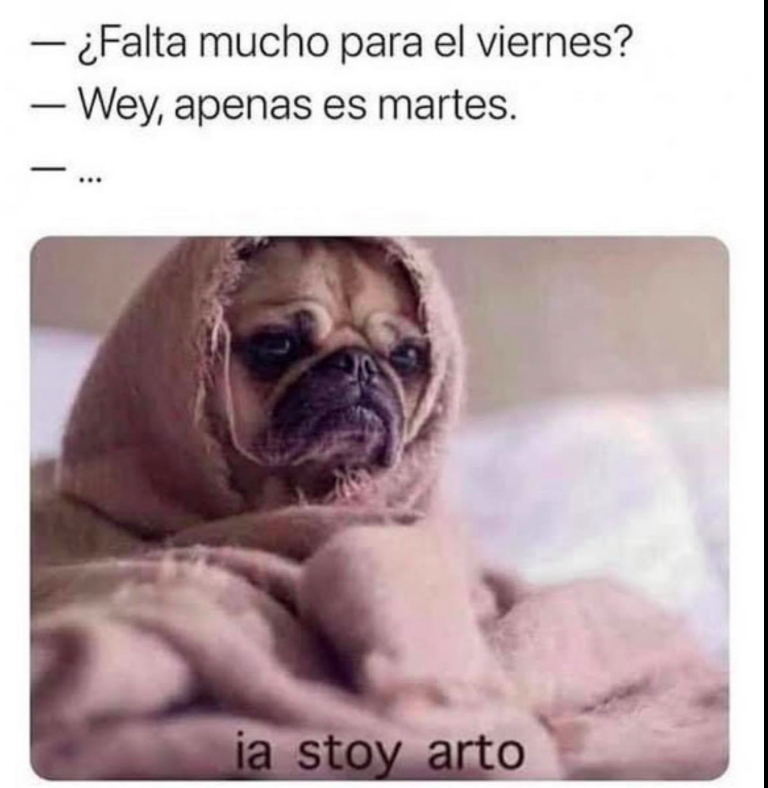 sopitas's tweet photo. #MemeDelDía https://t.co/0dWNk72Sbs