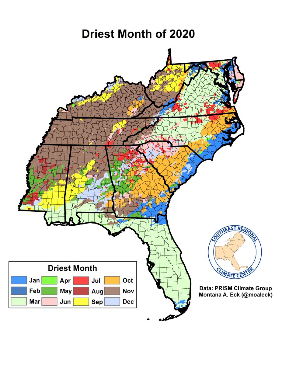 Montana Eck tweet media