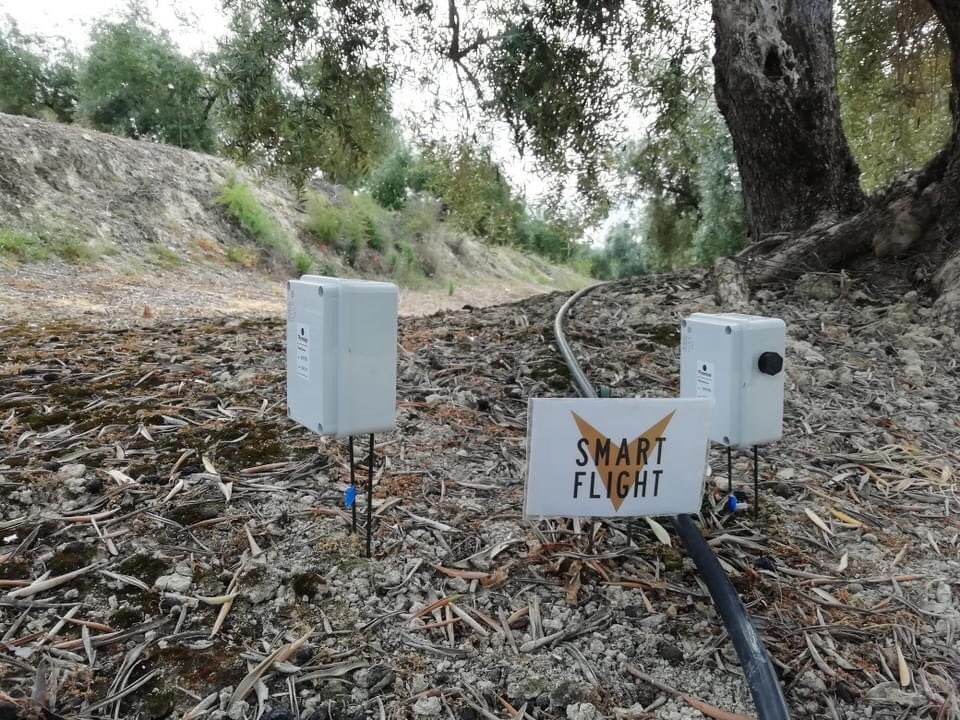 smart_flight's tweet image. Otra instalación🛠️ de sensores de humedad💦 realizada, pero esta vez aportamos más elementos además de las sondas de humedad.
 Os dejamos unas imágenes de como nuestros agricultor@s👨‍🌾👩‍🌾 ven los datos.

NO DUDÉIS EN PREGUNTARNOS!!

📱+34 646 94 50 34

#riegoeficiente #smartflight