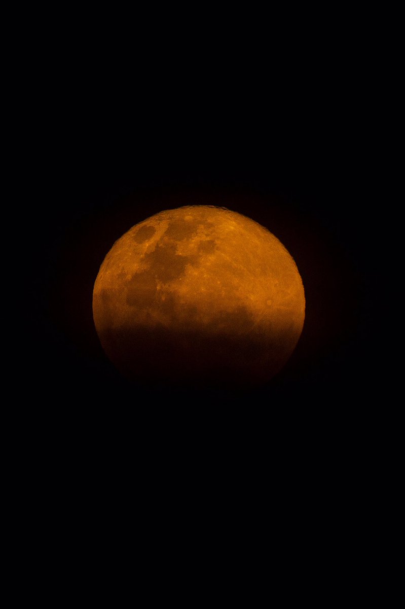 𝕊𝕀𝕄𝔹𝕀 𝕐𝕧𝕒𝕟 ℝ𝕦𝕕𝕒𝕙𝕦𝕤𝕙𝕒 tweet media