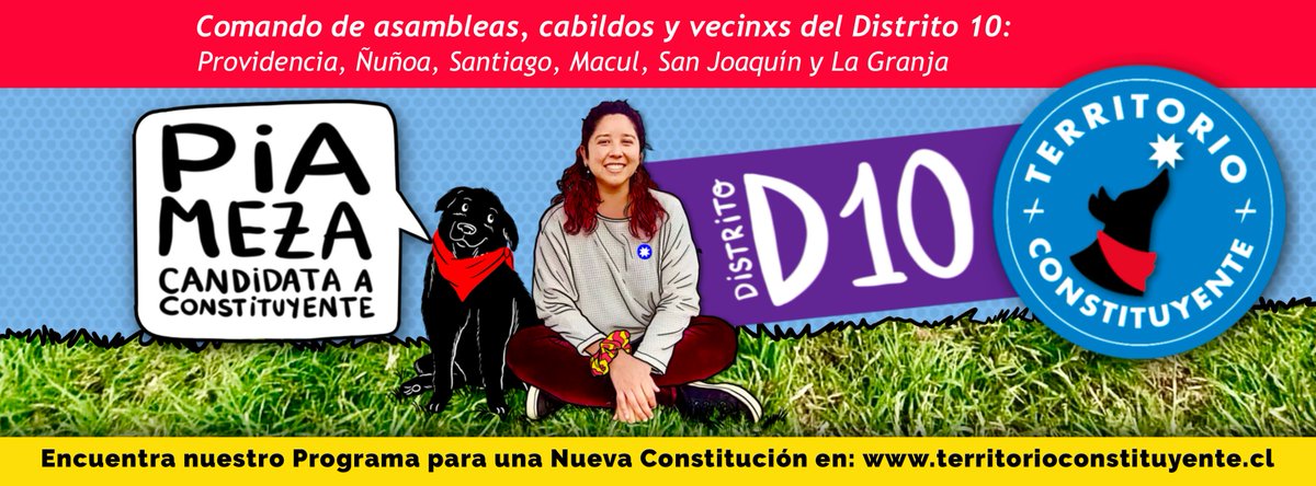 Debo aprovechar de decir que El TC que más me representa eso sí es Territorio Constituyente (TC 💙) <a href="/territoriocons/">Territorio_Constituyente</a> Organización que agrupa cabildos y asambleas del Distrito 10 #TerceRetiro10ciento y lleva a <a href="/PiaMezaI/">Pia Meza Ilabaca</a> de candidata :D