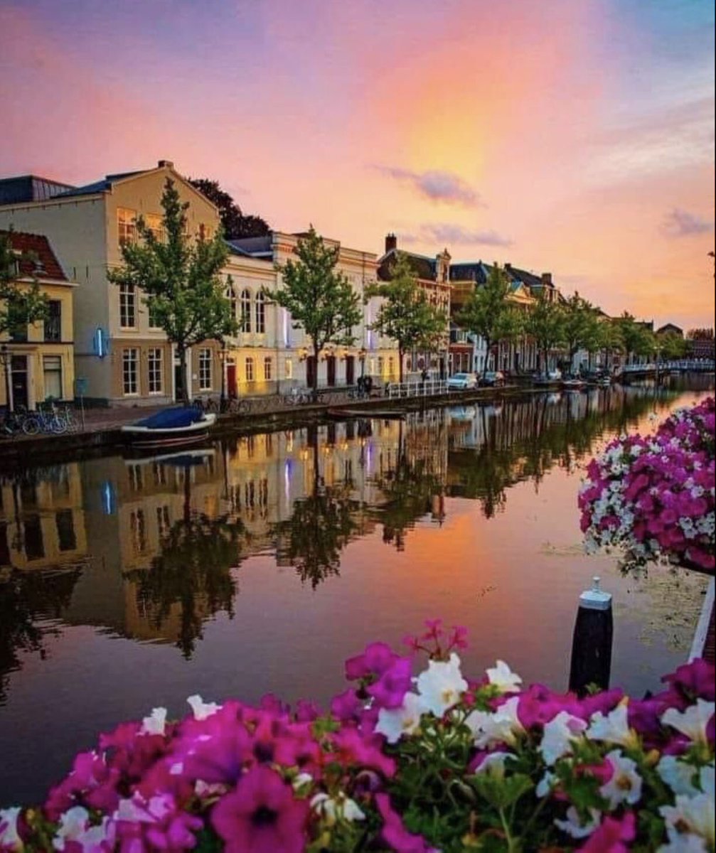 Cathhewat123's tweet photo. @DulceAmor__ @JennyDazz23 @_90_ @THE_LGND_ @KedmaHelena1 @otrogoga60 @GTX3O @Cassandra_Jully @vinaymishra1961 @LudMarx1 @ginaaaa345 @Justina_LGND @insaurraldeh @BrianyChariz @Starla_Eileen @DrNikolova_Rumi @Bella_Ely_ @IsabelPerez1232 @AlexhaAgnes @Seaclare115 @v1pff @FLWRTR @F1WRTR @1mnff @Elrecargado1 @Jhanet_Fra @Angel_Stockler @eshahan345 @Angel__LGND @LIONXCL3W 🦅 #HOMEL3ND #KENN3N #LGND
#AdryDrive @GTX3O @LIONXCL3W
@G16 @_90_ @eshahan345 @K2T 
@Bella_Ely_ @bovb51 @LadyYAZNE
@KedmaHelena1 @Cathhewat123
@RosaNegra_08 #FOLLOWTRIC 
@Starla_Eileen @IsabelPerez1232
@DulceAmor__ @Justina_LGND
@JennyDazz23 @JennyDazze
@LadyYAZNE @ginaaaa345 https://t.co/rIdmvsXQRV