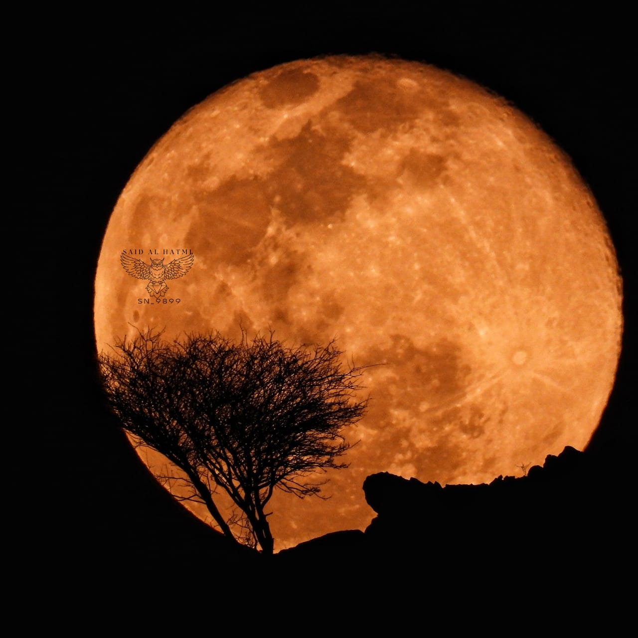 الصورة