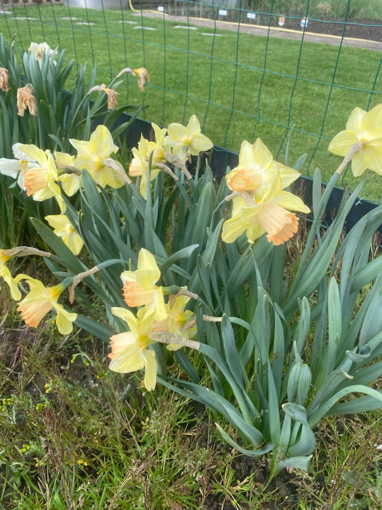 duchatelle's tweet image. Bonne soirée à tous