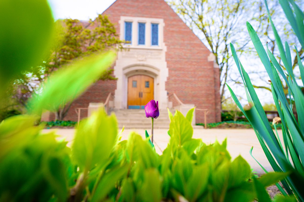 Springtime at <a href="/michiganstateu/">MSU</a> #MSU
