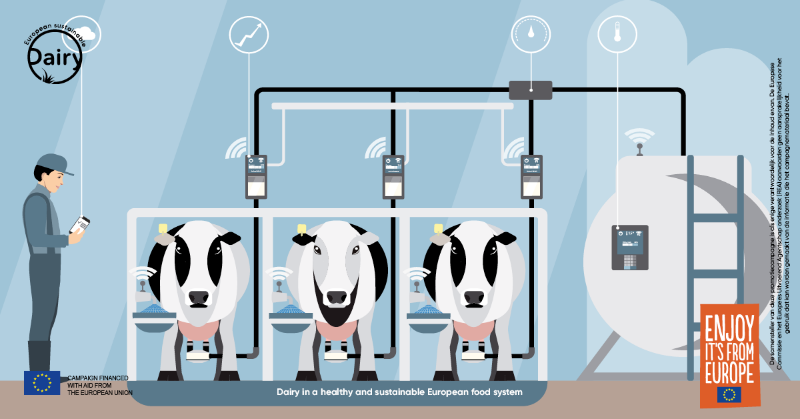 zuivelduurzaam's tweet image. Een meer ontspannen koe én hogere melkopbrengst. Melkrobots zitten in de lift: vandaag worden in België meer #melkrobots verkocht dan klassieke melkinstallaties. Wist je dat zo’n robot de spenenpositie van elke koe onthoudt? #SustainableDairyEU
