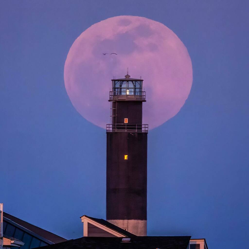 Pink Supermoon at the Oak Island Lighthouse #oakislandlighthouse #oakislsndnc #brunswickcountync #sky_brilliance #rsa_light #rsa_light_members #lighthousesofinstagram #lighthouses_around_the_world #lighthouse_lovers #fullmoon #supermoon #supermoon2021 #p… instagr.am/p/COK5-xOBbHb/