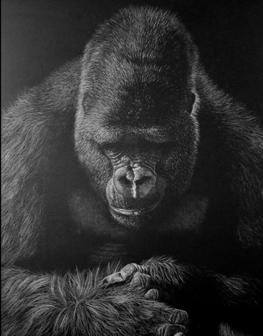 chimp_bucket's tweet photo. Today we mourn the loss of three of our strongest guerrilla soldiers. They will forever live on in our hearts and minds. Thoughts and prayers to their families in these trying times. https://t.co/w1qCSYqMLo