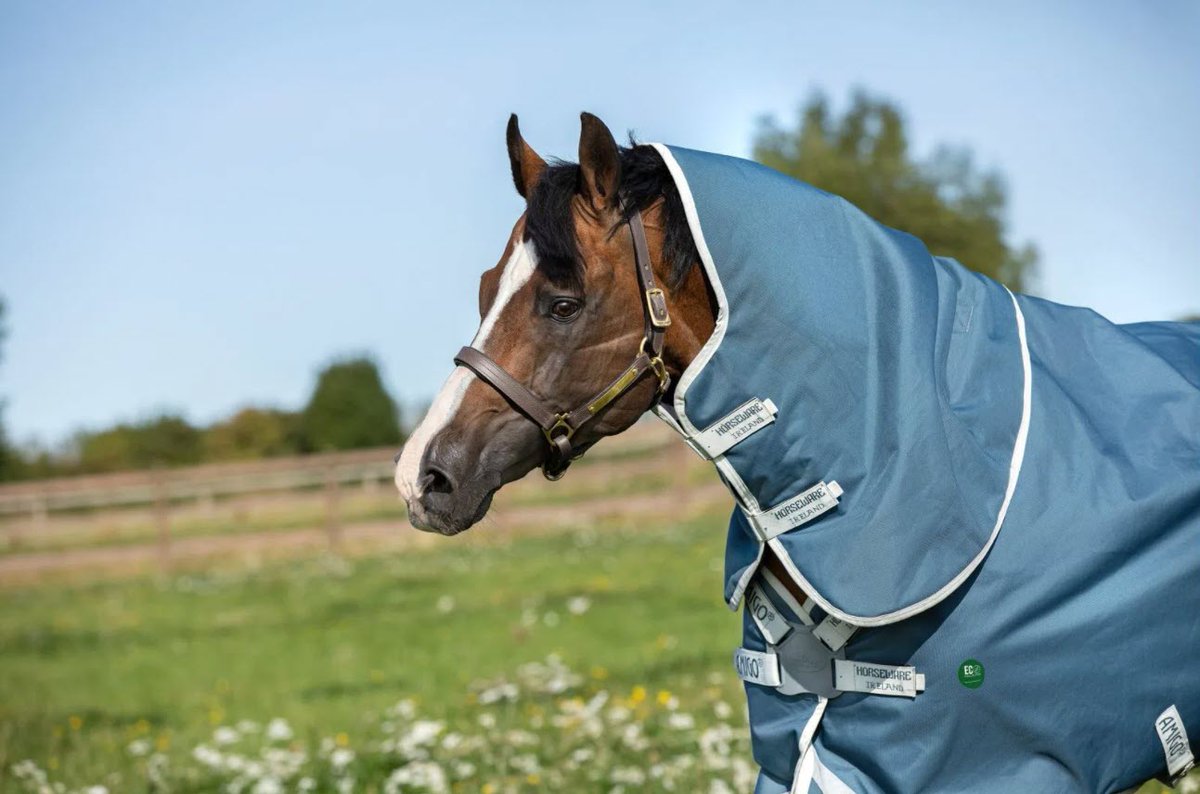 EQUITANA USA (@equitanausa) on Twitter photo This month's featured brand on the EQUITANA USA Marketplace powered by Equishopper has created an innovative design for a greener future! Shop <a href="/Horseware/">Horseware Ireland</a>'s Amigo brand AmEco horse turnout made from recycled plastic bottles. Check it out: equitanausa21.com/Horsewear This month's featured brand on the EQUITANA USA Marketplace powered by Equishopper has created an innovative design for a greener future! Shop <a href="/Horseware/">Horseware Ireland</a>'s Amigo brand AmEco horse turnout made from recycled plastic bottles. Check it out: equitanausa21.com/Horsewear