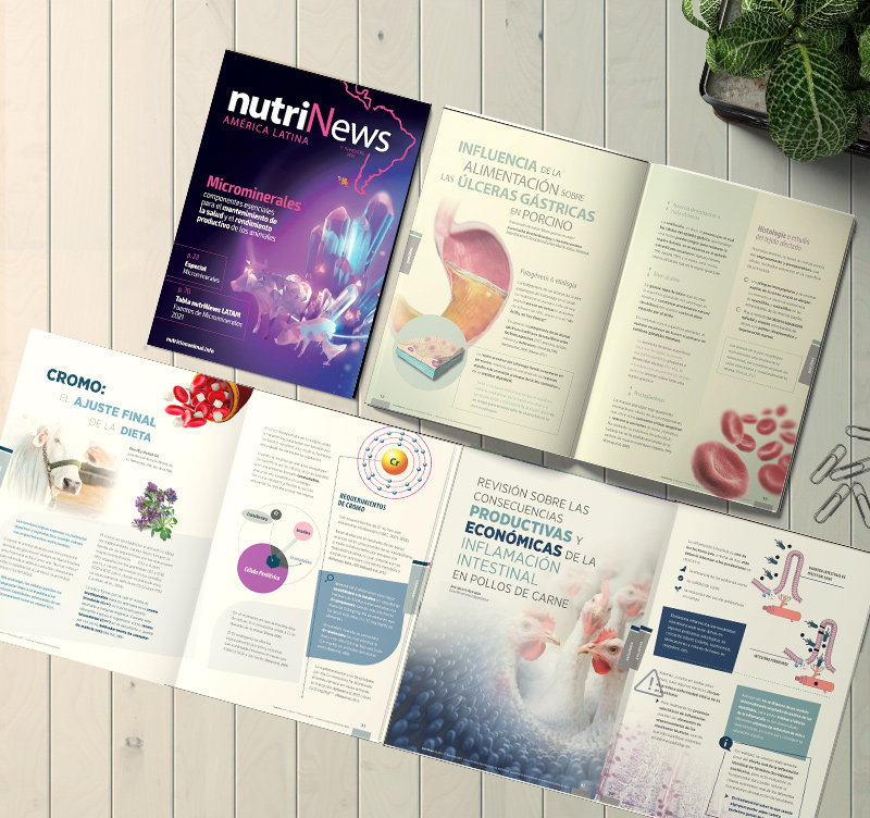 nutriNewsLATAM's tweet photo. Revista #nutriNews Latam, especial Minerales Traza.
Ya está disponible‼️
@Bioiberica @Pancosma_SA @Zinpro @VetancoMexico @nuproxa #Orffa #Yes
https://t.co/TbSJI9G5uf https://t.co/dXkNl2HXK6