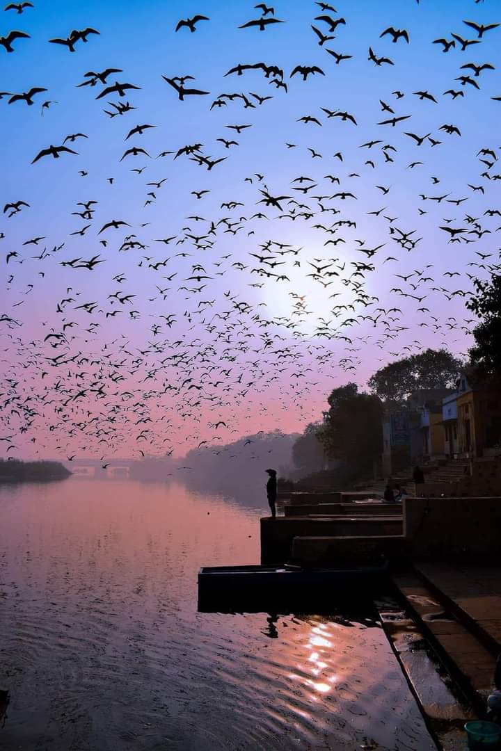 कोई माने या ना माने असर सब पे है ,,

अरे छोड़ो यारो फिक्र उसकी नजर सब पे है ।