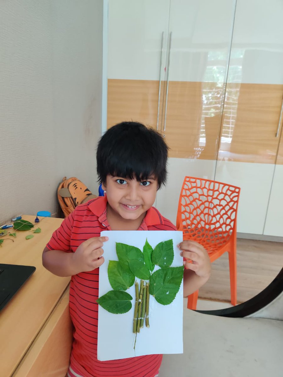 SAI_Edu_In's tweet image. Trees provide us with many benefits necessary for survival, including clean air, access to clear water, shade and food. They also give us hope and insight and courage to persevere – even in the harshest conditions. 
#importanceoftrees
#garden
#Plantsforlife