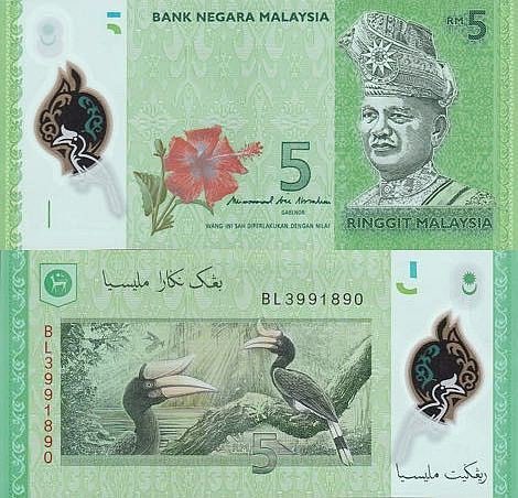 Ринггит малайзия. Купюры Малайзии. Денежные знаки Малайзии. Малазийские банкноты пластиковые деньги.
