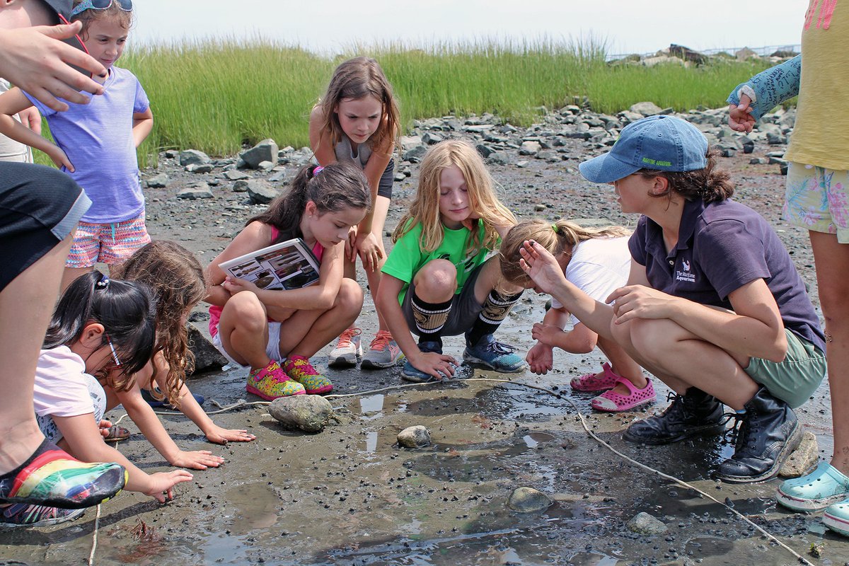 US_IMLS's tweet photo. Through its immersive exhibits, extensive educational programs, and leading conservation initiatives, #IMLSmedals🏅 finalist @MaritimeAqua connects its visitors and community to Long Island Sound, its wildlife, habitats, and defining maritime heritage. https://t.co/9EOM67URWh