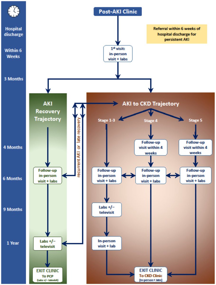 Patients who develop acute kidney injury (AKI) during hospital admission face greater risks of renal disease and death.We propose a model for specialized follow-up care for AKI survivors, focusing on preservation of renal function and preventing further episodes of AKI.(6/7)