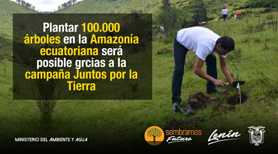 [BOLETÍN] Plantar 100.000 árboles en la Amazonía ecuatoriana será posible gracias a la campaña #JuntosXlaTierra.
➡️ bit.ly/2Qytb1m