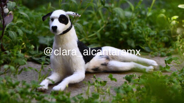 clarapinttora's tweet photo. “La grandeza de una nación y su progreso moral pueden ser juzgados por la manera en que trata sus animales/  The greatness of a nation and its moral progress can be judged by the way its animals are treated.”Mahatma Gandhi   #felteddog #commissionsopen https://t.co/cVI9uMCd1o