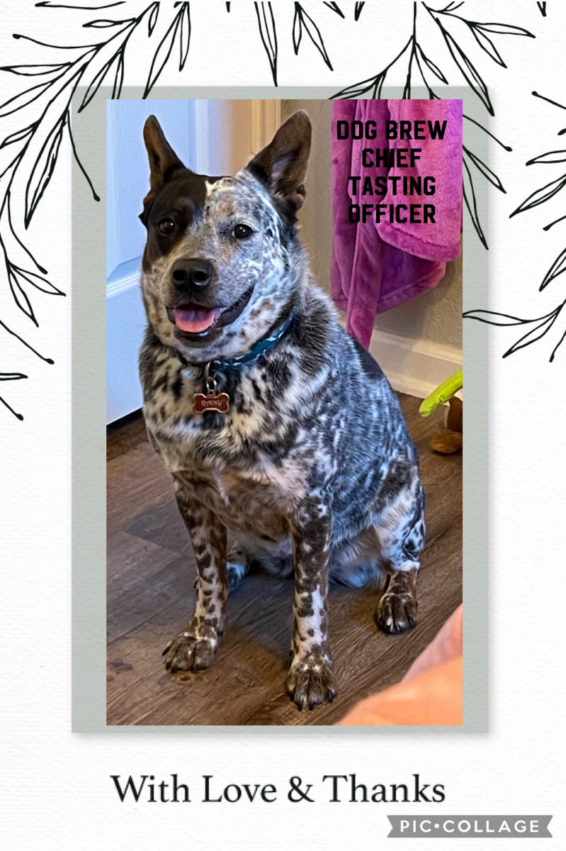 skinkis_13's tweet image. #BuschCTOcontest