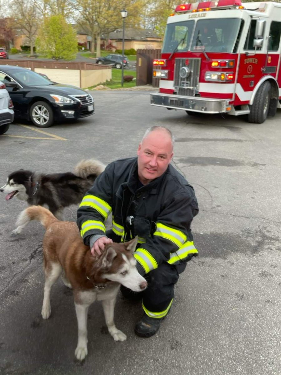 Yesterday we extinguished an apartment fire on Oakhill Blvd. where we also rescued three dogs from the unit.  One was transported to the veterinarian, the other two (pictured) are doing well.