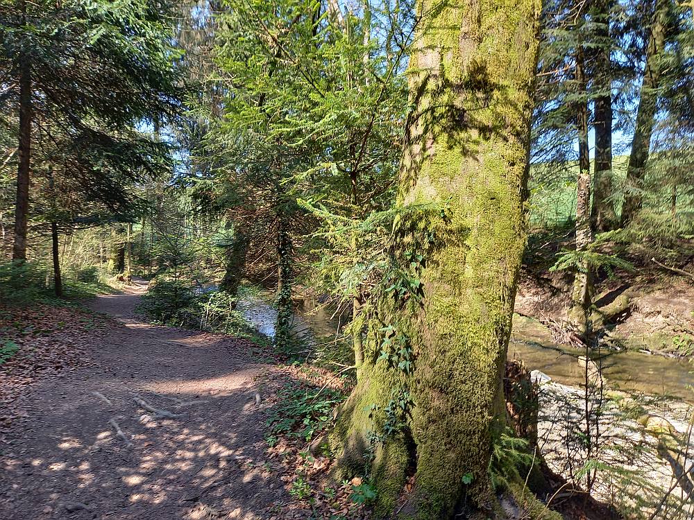 Sentier du Talent: Echallens - Cugy VD, Flusswanderung, mit Verlängerungsmöglichkeit bis Montheron oder Lausanne
wandersite.ch/Tageswanderung…