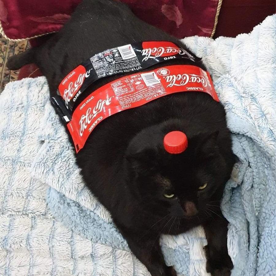 syahmi_ahmad's tweet image. Coke 3 Liter.