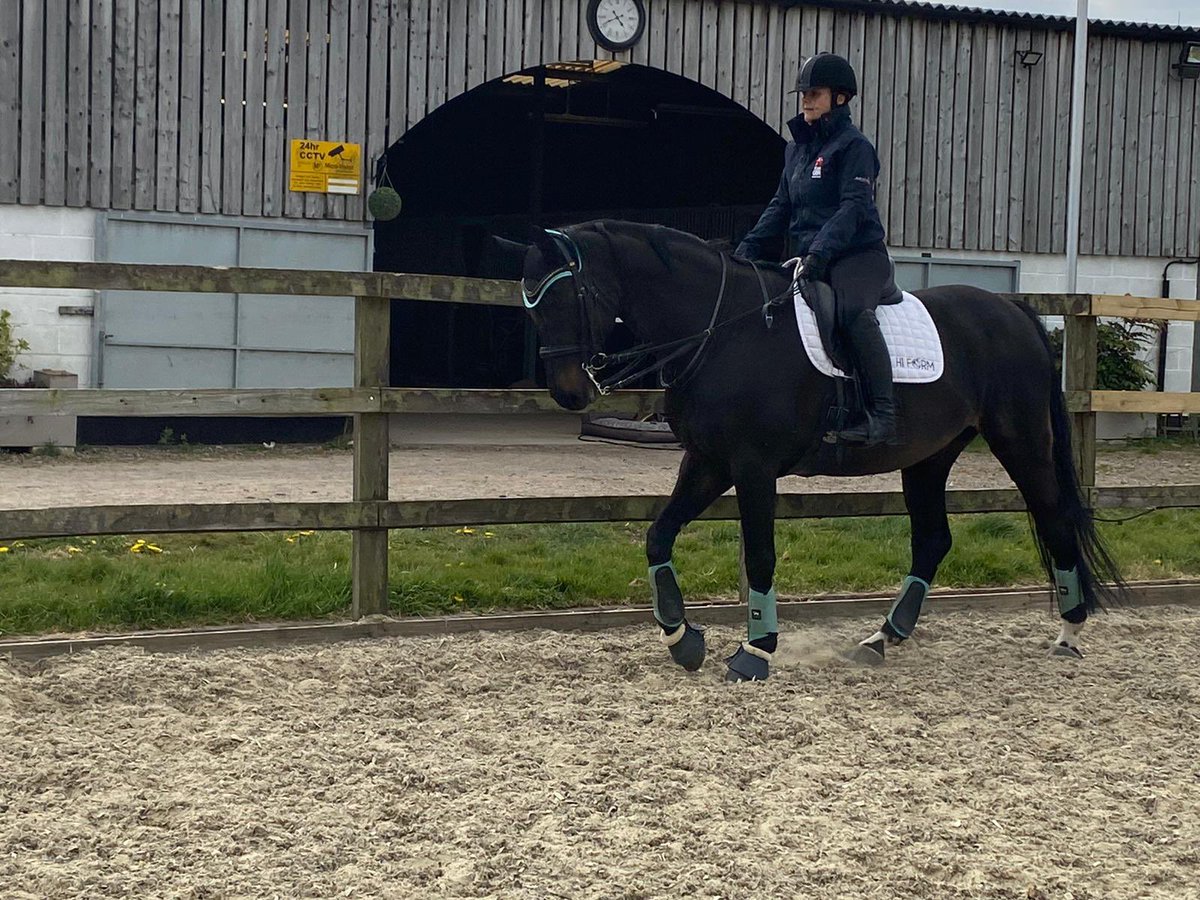 Safe to say my 🐴💕🇬🇧 girl is back after my fall that traumatised her so much.  She was full of confidence today not looking out for danger and really stayed with me all around the arena (even in the fall spot)

#ponyhour #equineblogshare #paradressage