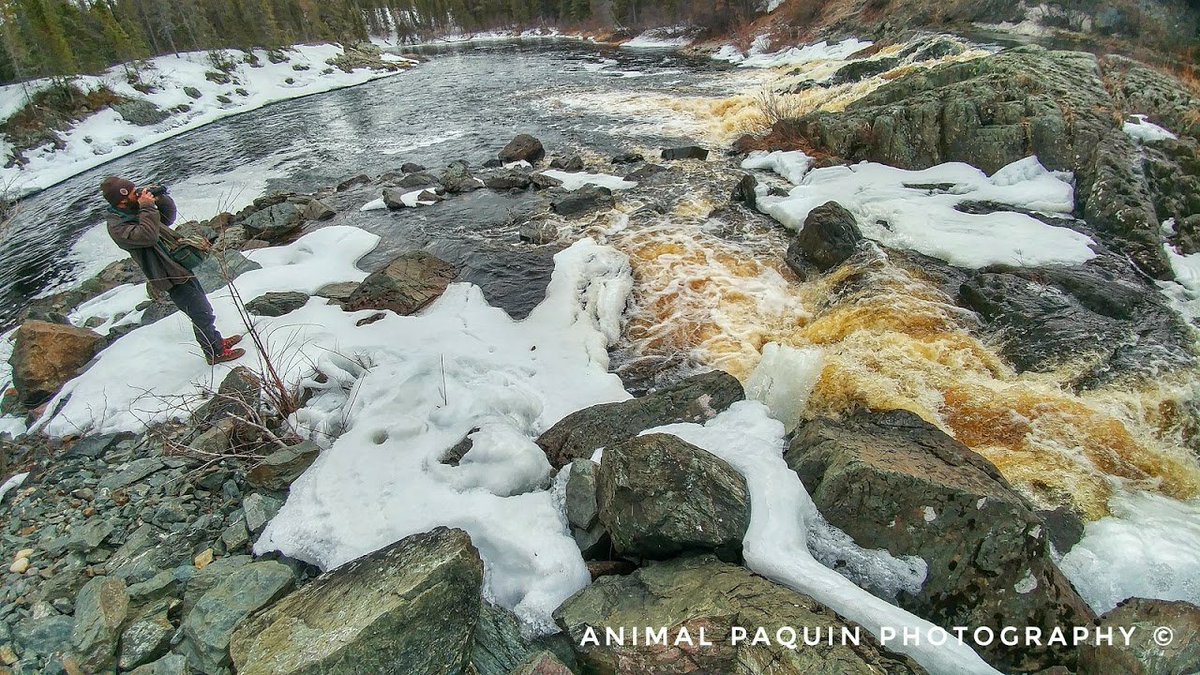 1/4 "Look how this evil mining company is polluting the river water!" The reality of this photos: No mine nearby, its actually the natural colour of the water. Rather, it is our bias at play.Consider that the environment NEVER recovers from housing development but it can/