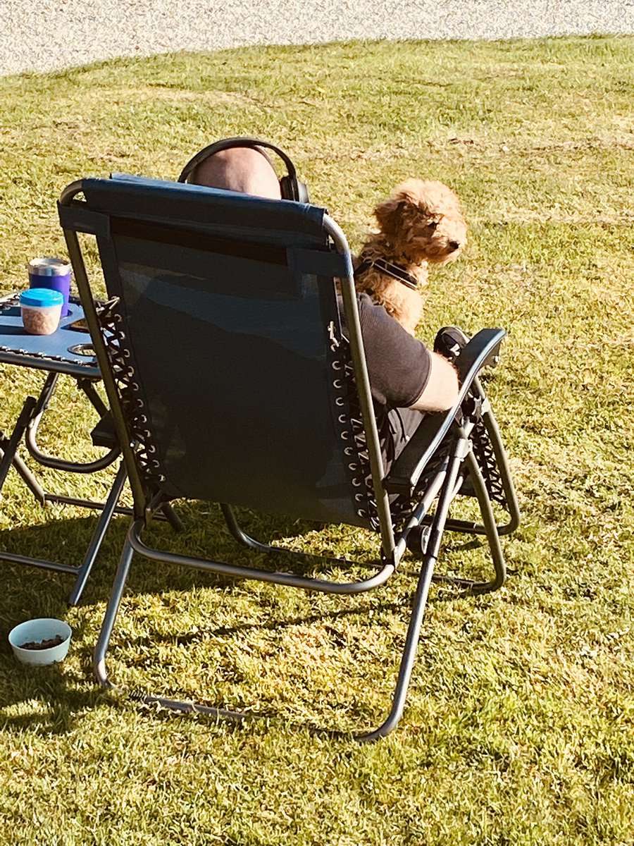 Sally Wilson (@sallyw00) on Twitter photo The sun is shining and I’m on my holidays! Taking both our puppy Nola and the motorhome on their first adventure. For John and me, just some time away from “Teams” 24/7!! <a href="/swcamperhire/">South West Camper Hire</a> #vanlife #peaceandquiet The sun is shining and I’m on my holidays! Taking both our puppy Nola and the motorhome on their first adventure. For John and me, just some time away from “Teams” 24/7!! <a href="/swcamperhire/">South West Camper Hire</a> #vanlife #peaceandquiet