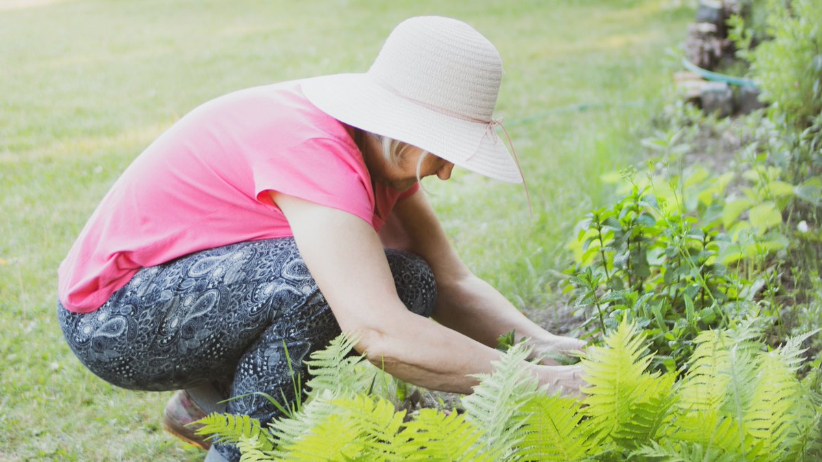 It’s National Gardening Week! Gardening has a wonderful impact on your mental and physical wellbeing. Embrace your garden, sow some speedy salad leaves and wildflowers, plant up a colourful window box, and feed the birds, all of these activities will bring you closer to nature.