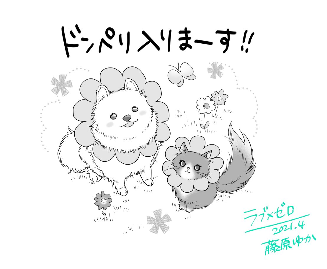 【配信お知らせ】もふもふホストクラブ漫画『ラブ×ゼロ』今週は幕間回!質問やリクエスト、今後もゆるっと募集続けますので何度でもご参加ください〜🌼🌼
▶︎ https://t.co/c5YLZh2ajq
#LINEマンガ #ラブゼロ