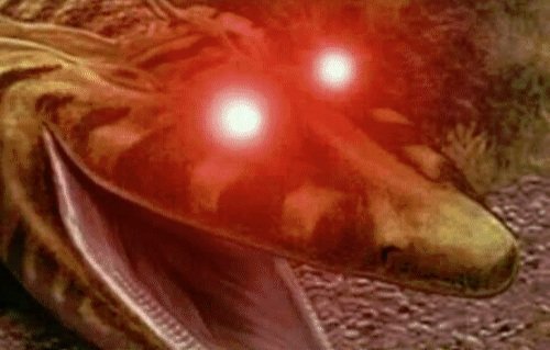 Time For Crab tweet media