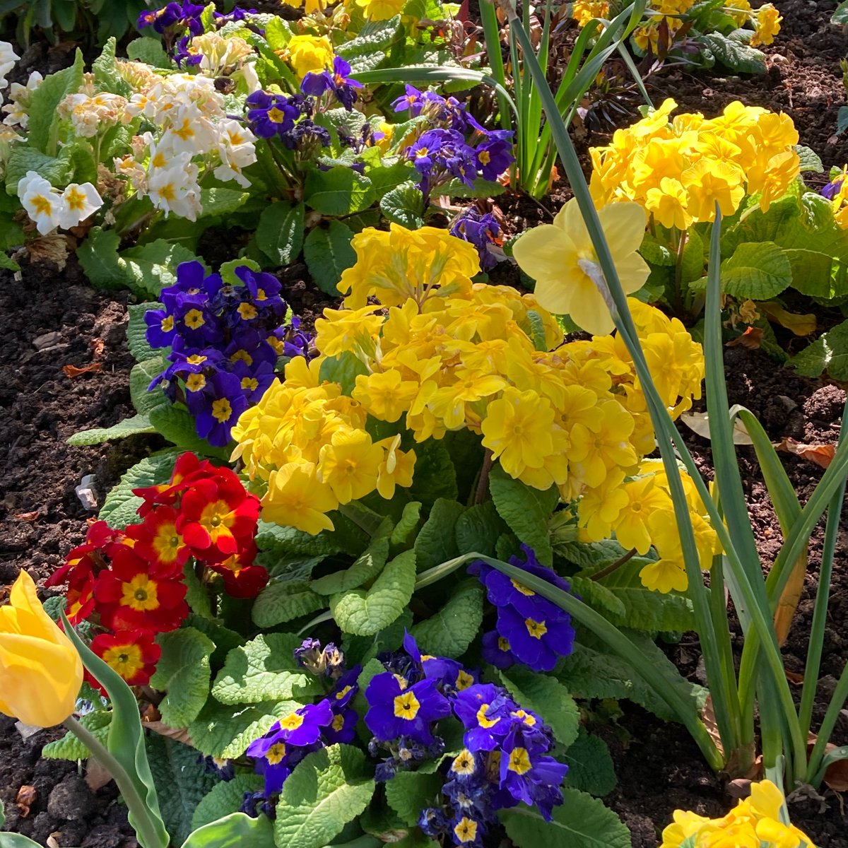 Ardingly College Venue Hire tweet media