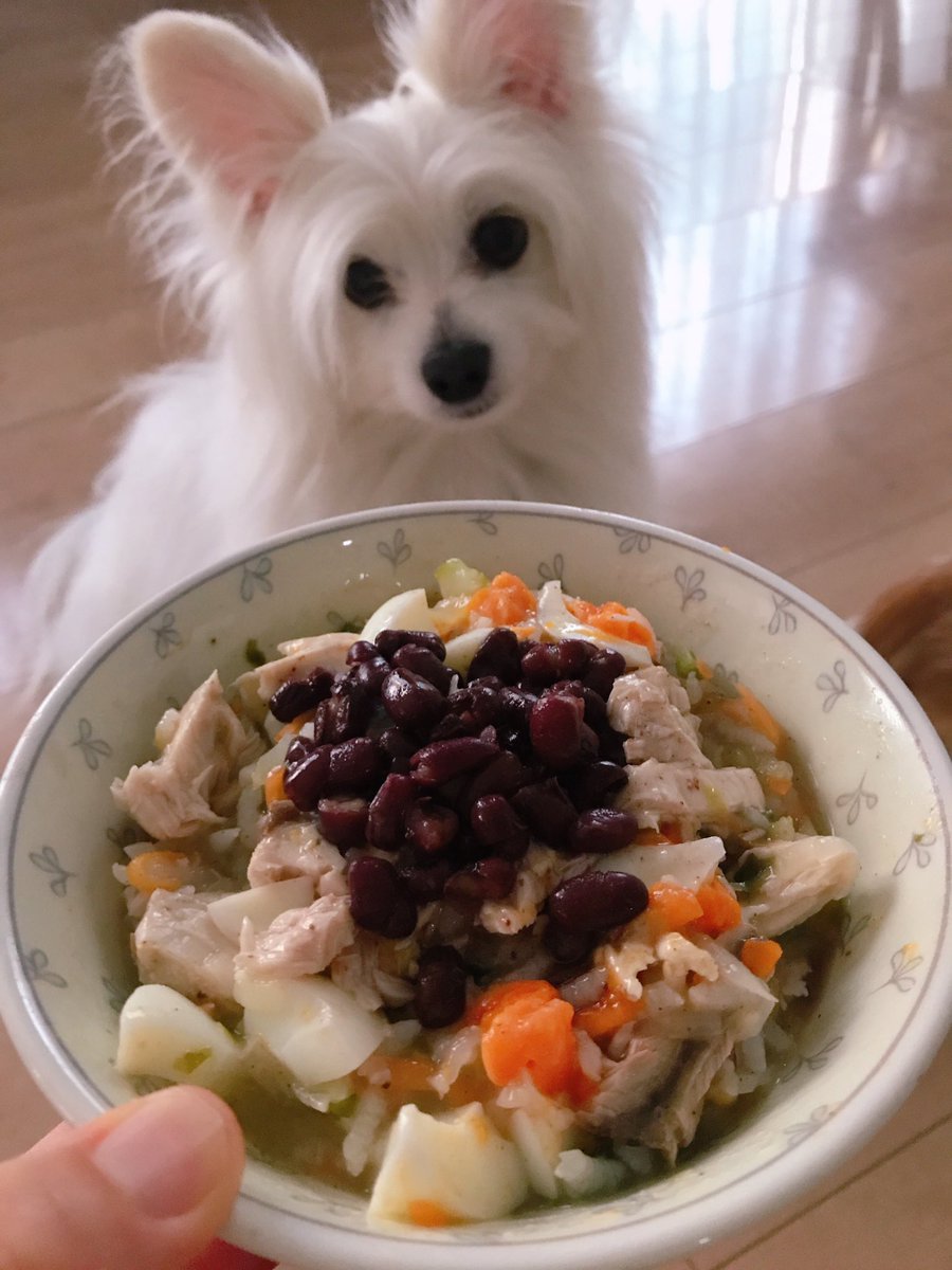 Yuly Love Viva 犬ごはん 今日の犬ごはん 鶏胸肉 かぶ かぶ葉 人参 舞茸のおじやに 水煮のブリ 茹で卵を混ぜ 砂糖入れる前の茹で小豆を のっけました 小豆ってすごく体にいいんです 手作り犬ごはん ペット食育准指導士 Yuly Love Viva 犬ごはん 今日の犬ごはん 鶏胸肉 かぶ かぶ葉 人参 舞茸のおじやに 水煮のブリ 茹で卵を混ぜ 砂糖入れる前の茹で小豆を のっけました 小豆ってすごく体にいいんです 手作り犬ごはん ペット食育准指導士
