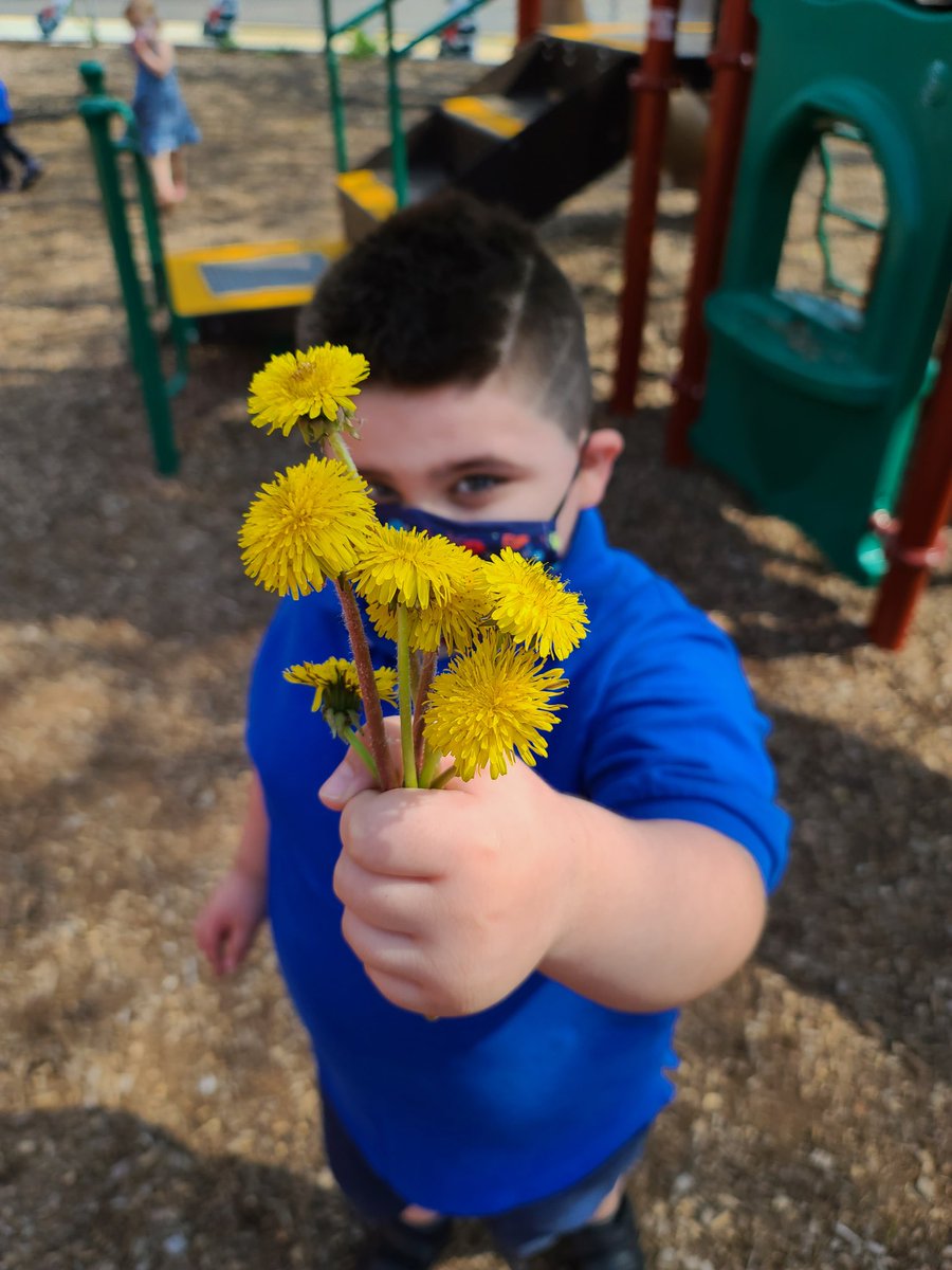 marinaelkind's tweet photo. It's dandelion gifting season! π΅π₯° #sweetkiddos #spring #WeAreD34 #WBPandas @District34EC https://t.co/sUl9dDvKCW