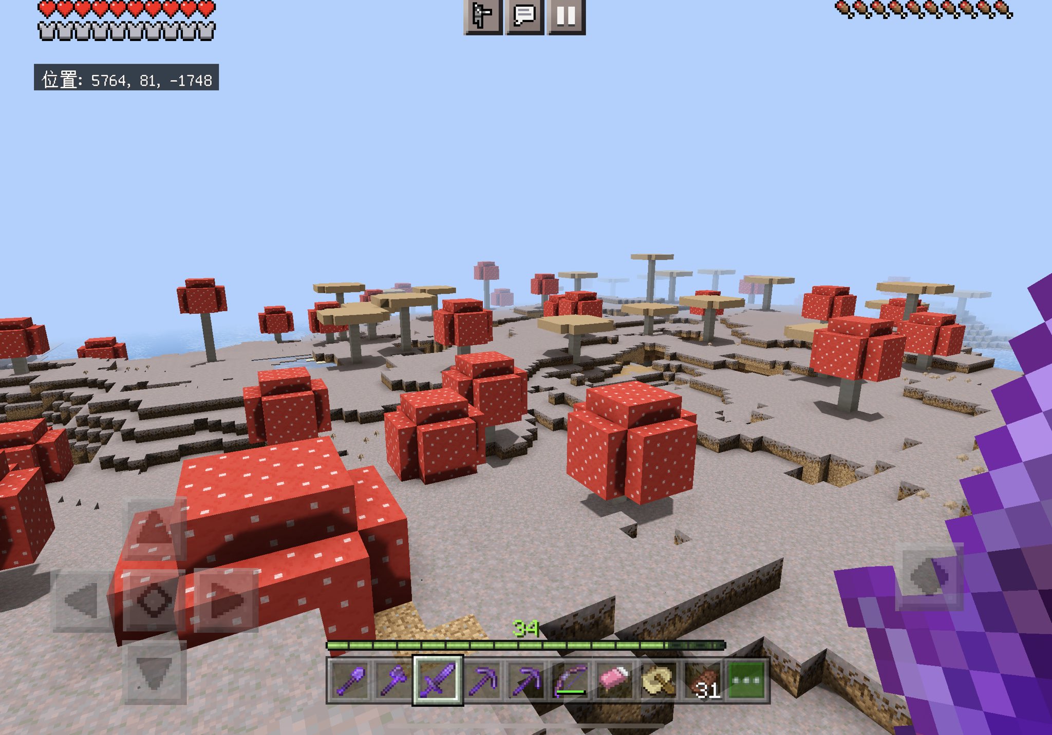 𝟺𝟹 𓊆夜空𝔾𝕒𝕞𝕖𝕤𓊇 Minecraft Realms ほのぼの物語 念願のむーしゅるーむさん この座標でも古代のがれきって出てくるんだ しっかり拠点に連れてきた マイクラ募集 マイクラフレンド募集 マイクラ統合版 Minecraft