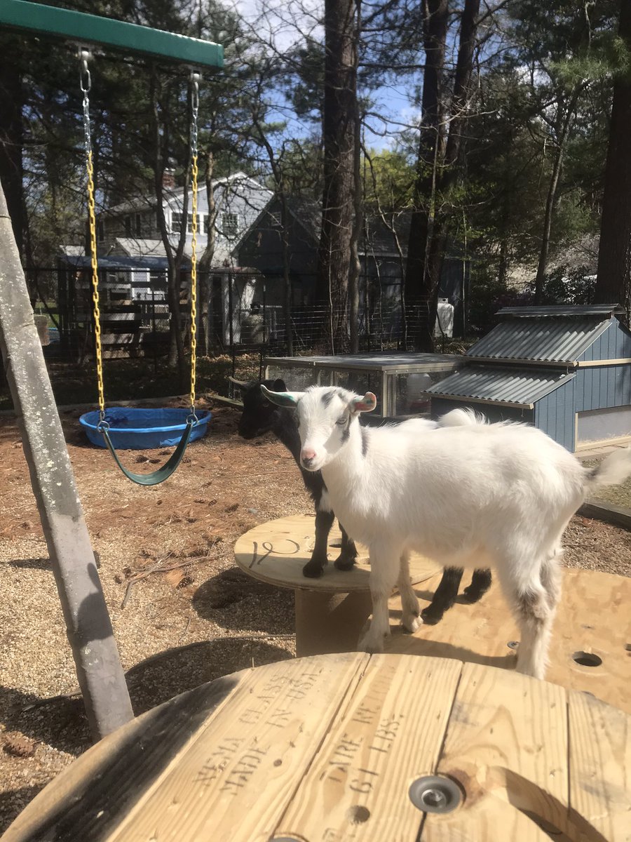 Jake Davey tweet media