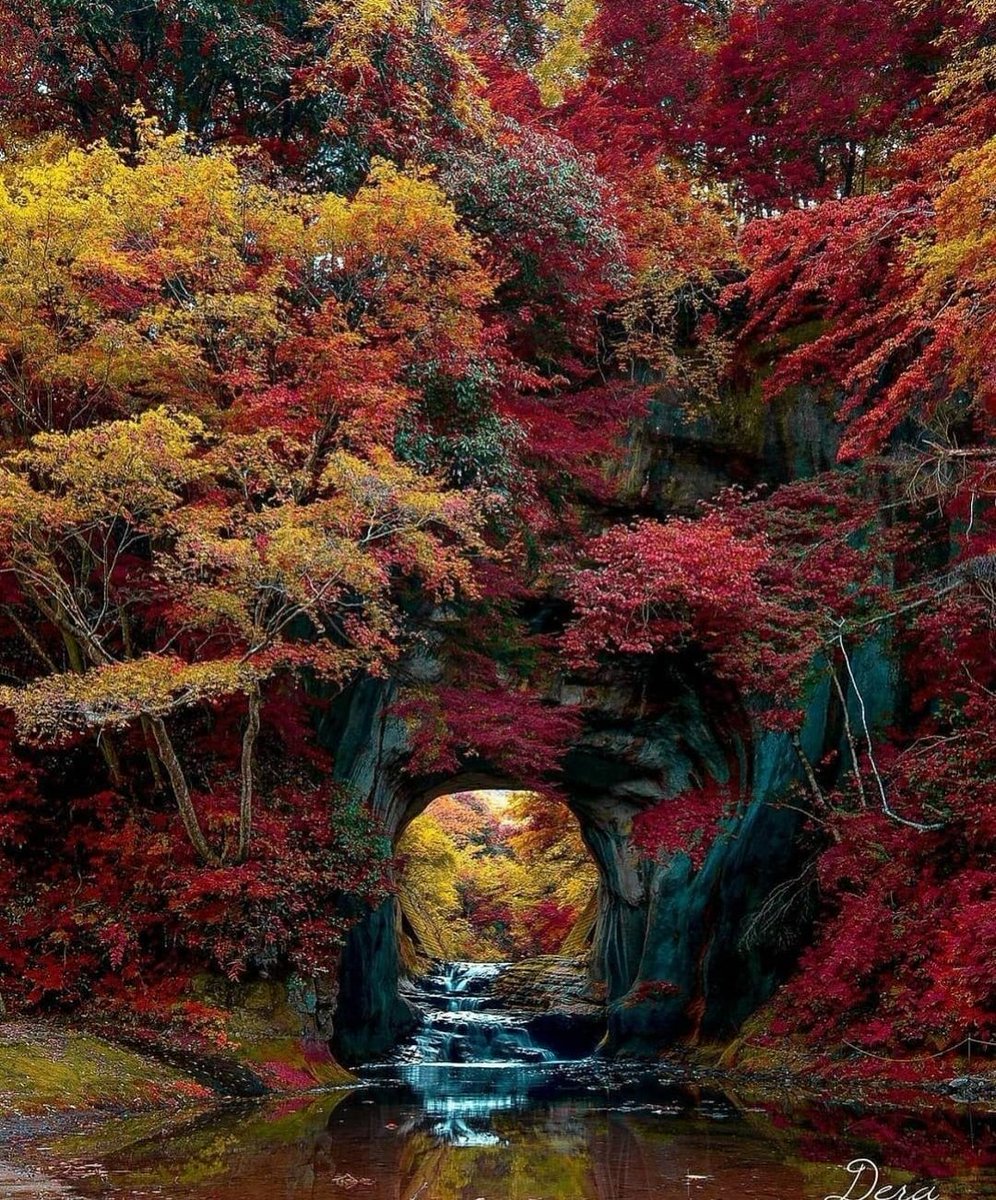 #Beautiful colors of #Japan