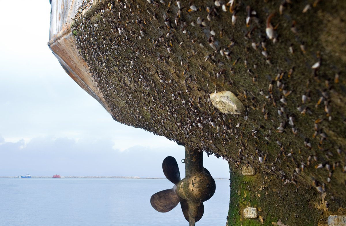 Hydrogen effect on piezo transducers (biological fouling)
Read our application note:  stssensors.com/blog/2021/04/2…
For applications in shipbuilding, brackish water and sea water applications, STS recommend piezo-resistive elastomer-free sensors in titanium.