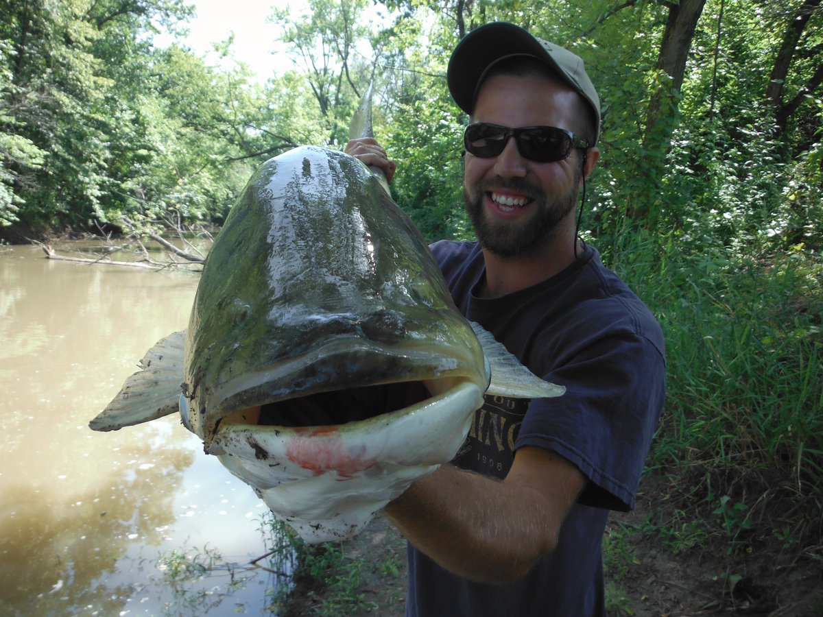Join our team @IowaStateNREM @iastate_cals ! Hiring a MS #student & Research Scientist to investigate Invasive Carp tributary behaviors, movements, & survival using acoustic #telemetry. Closes May 12 wfscjobs.tamu.edu/jobs/ms-gradua… isu.wd1.myworkdayjobs.com/IowaStateJobs/… @AFS_Students #FishSci