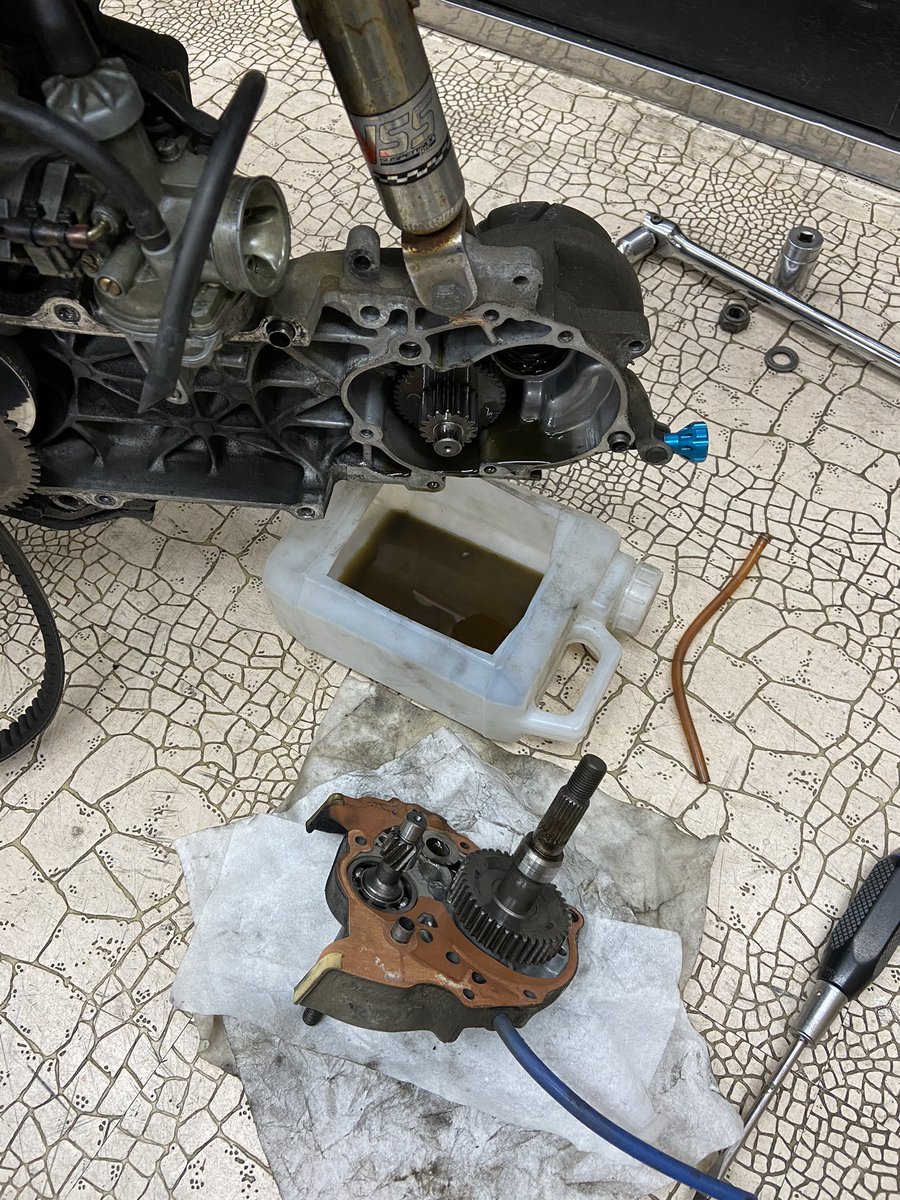 0以上 Dio ハイギア ライブ Dio ハイギア Irasujoznnv0