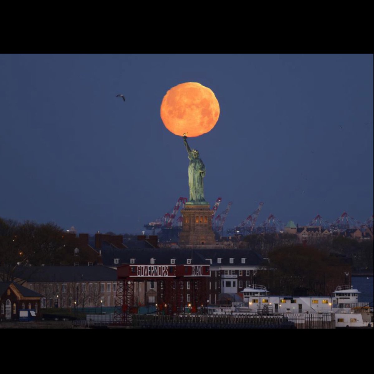 Eric Cohler tweet media