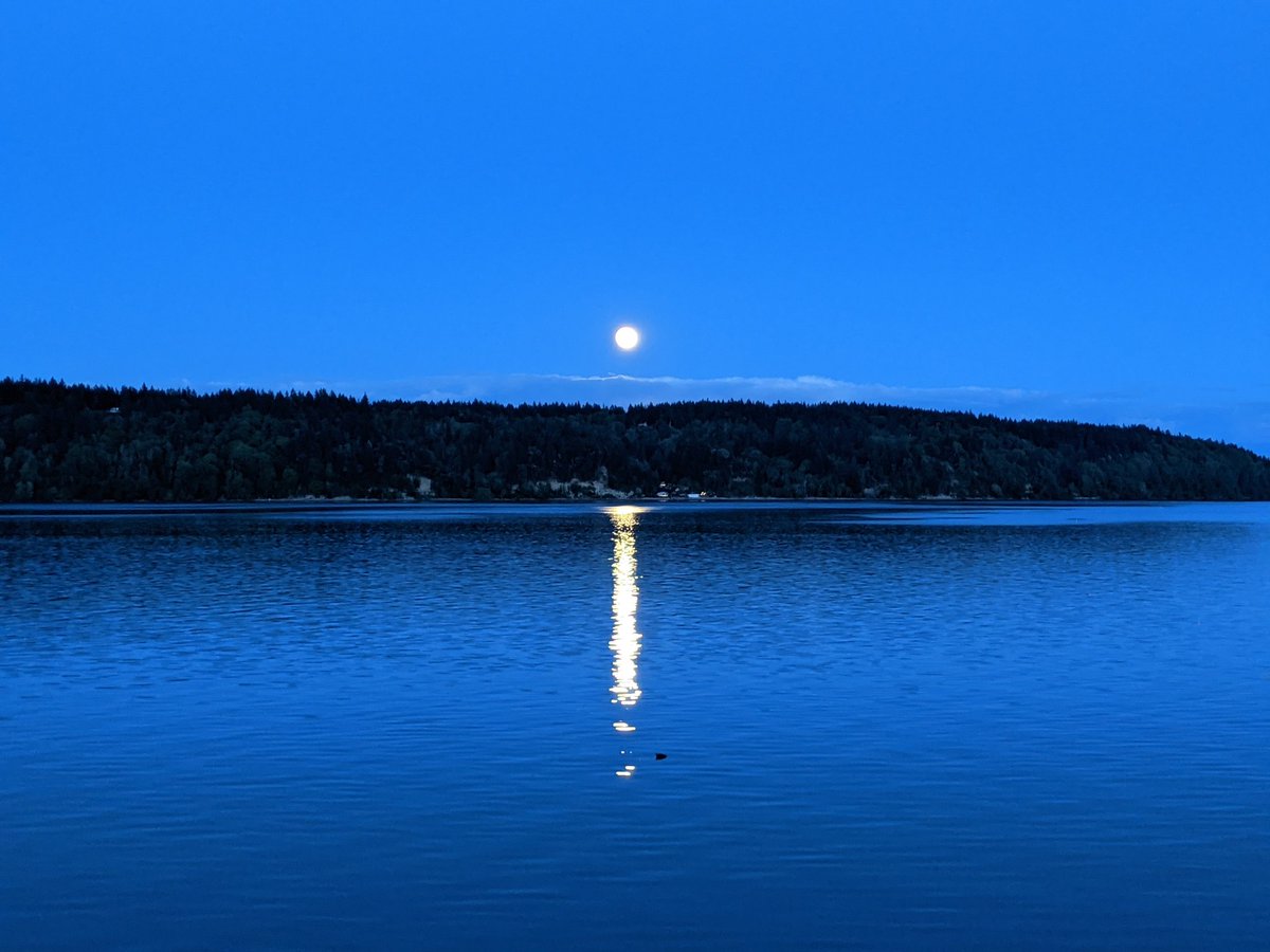 BasqueTraveler's tweet image. That supermoon sneaked up on me 😱

#Supermoon #FullMoon #howlatthemoon #pugetsound #WA