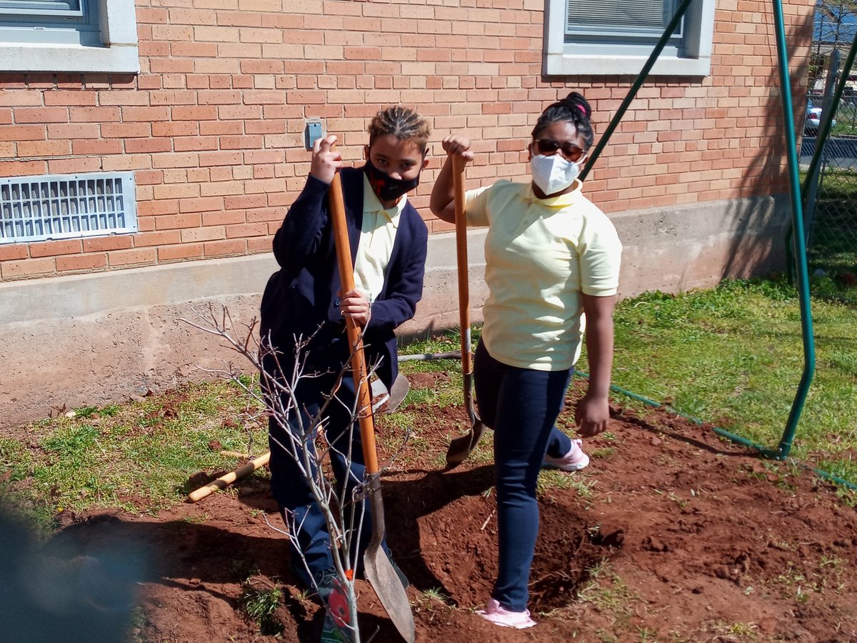 LVM_Roselle's tweet photo. The people that plant trees, plant a hope for the future. Ms. Septimus and some amazing LVM scholars planted a tree on Arbor Day for a better future. #whyLVM #allstudentsmatter #arborday @_RoselleSchools https://t.co/fxLMktwsa2