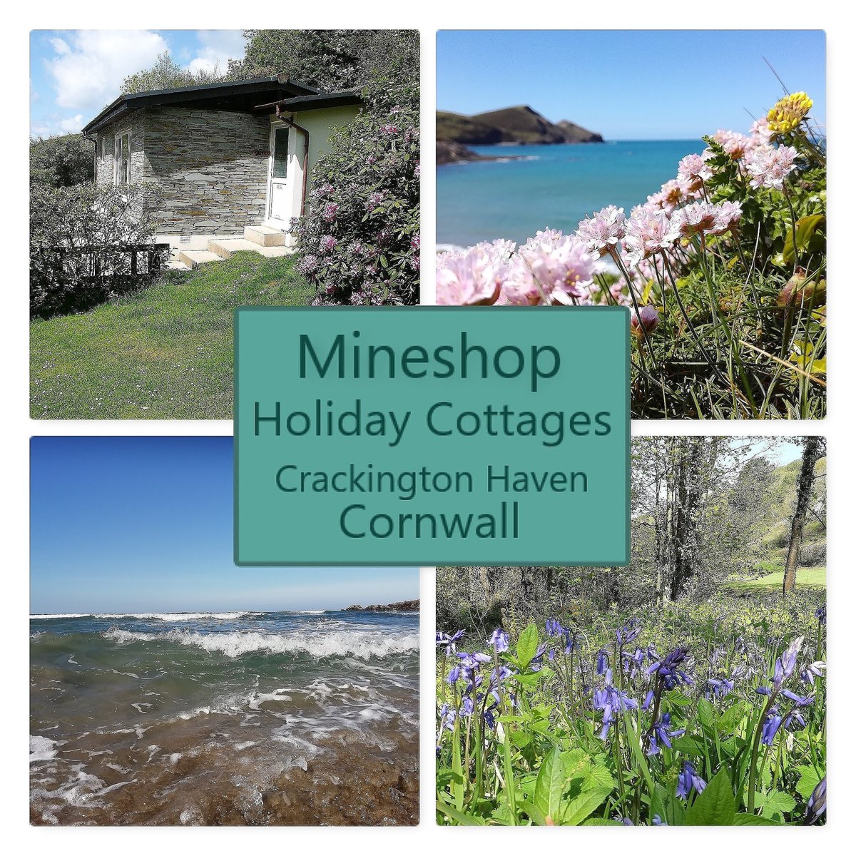 Mineshop Cottages tweet media